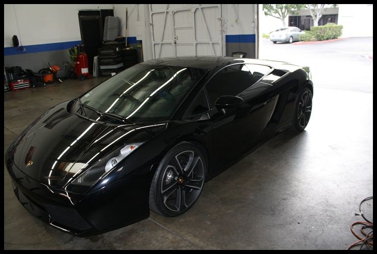 newgallardo001_zps008fc1b7.jpg