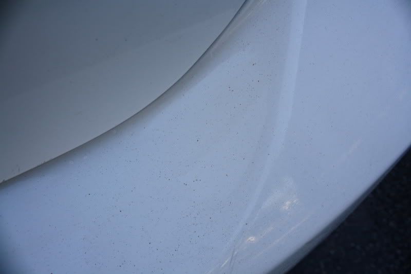 cars023.jpg