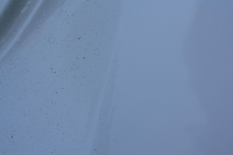 cars025.jpg