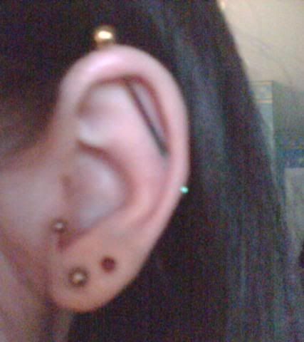 Piercings: One of my old scaffolds.. And there's a tragus and the lobes 