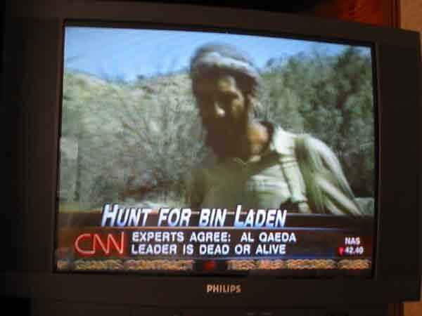 Is Osama Bin Laden Really Dead. Is Saddam Dead Is Osama Bin