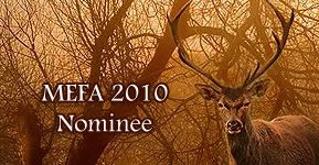 mefa 2010 nominee banner