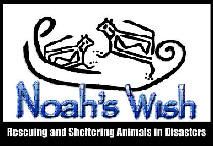 Noah's Wish