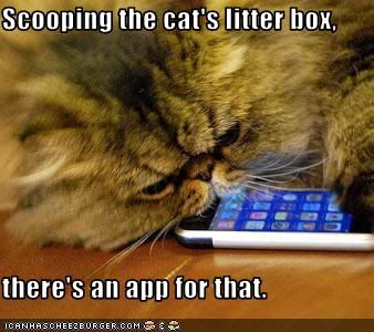 Funny pictures cat has apple iphone syncing 