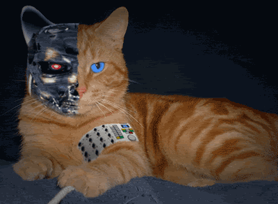 Forum Image: http://i2.photobucket.com/albums/y45/Christopher4myspace/Space%20Kittehz/robocat.gif