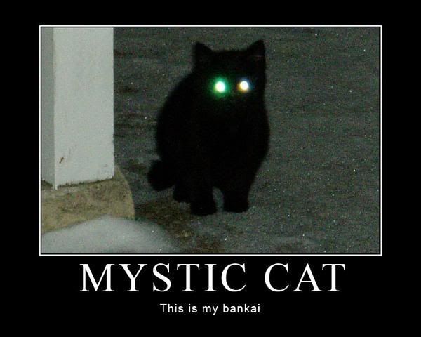 Mystic Cat