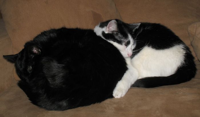 [Image: IMG_0375_zpsf181e4f7.jpg]