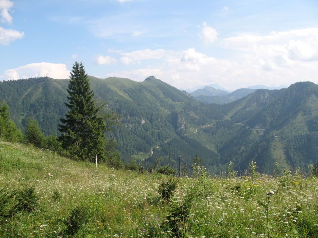 IMG_4206.jpg