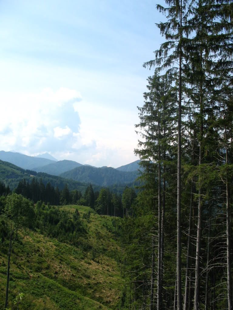 IMG_4339.jpg