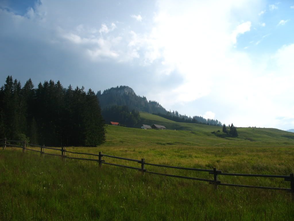 IMG_4380.jpg