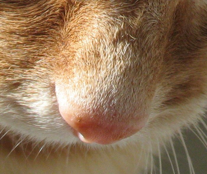 [Image: IMG_6424b_zpsd28ab2ae.jpg]