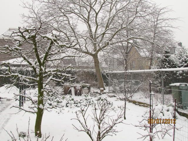 Afbeelding