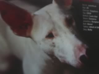 Photobucket - Video and Image Hosting