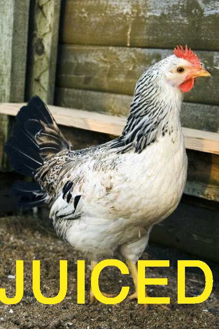 result in larger juggs,450 result in larger juggs,450