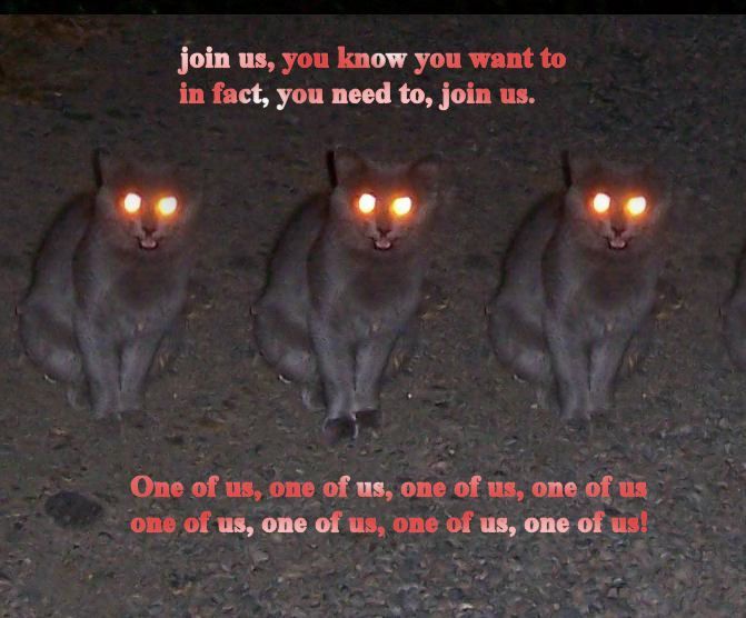 Posted Image