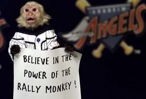 rallymonkey.jpg