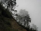 0ba4c955.jpg Alishan image by getdev2001