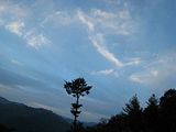 0e45443b.jpg Alishan image by getdev2001