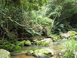 418aa7e7.jpg FiveFinger Mountain image by getdev2001