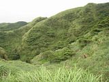 IMG_1368.jpg Mt Cising - YangMingSan image by getdev2001