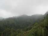 ResizeofIMG_0685.jpg Taichung-No4 Trail image by getdev2001