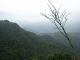 f939b261.jpg HuangDi Temple Trail - Taipei image by getdev2001