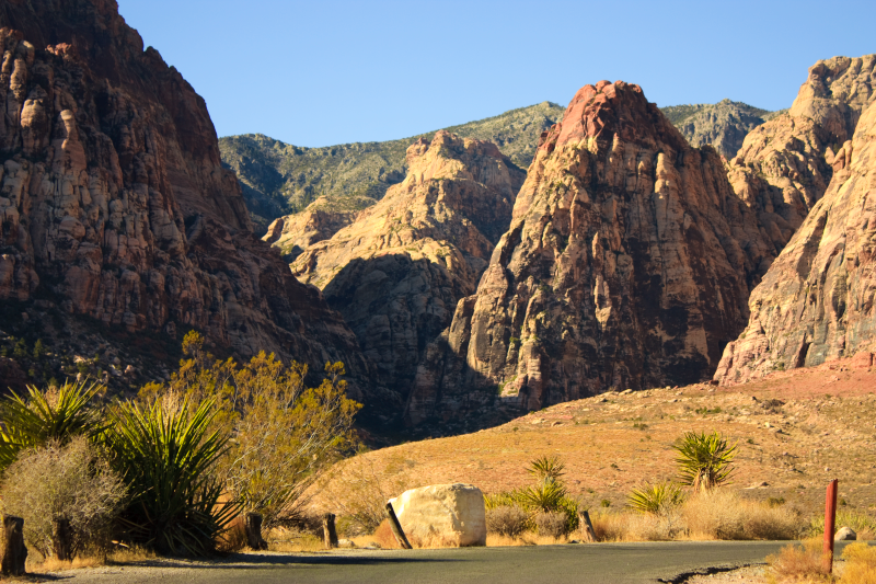 IMAGE: http://i2.photobucket.com/albums/y47/panda_stunter/IMG_2665-Edit.png