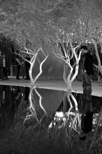 IMAGE: http://i2.photobucket.com/albums/y47/panda_stunter/IMG_3717.jpg