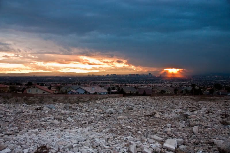 IMAGE: http://i2.photobucket.com/albums/y47/panda_stunter/IMG_5755.jpg