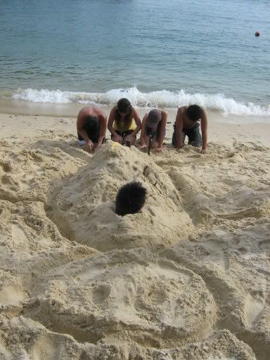 Photobucket - Video and Image Hosting