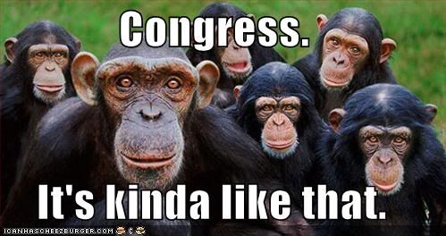 funny pictures of monkeys. funny-pictures-congress-