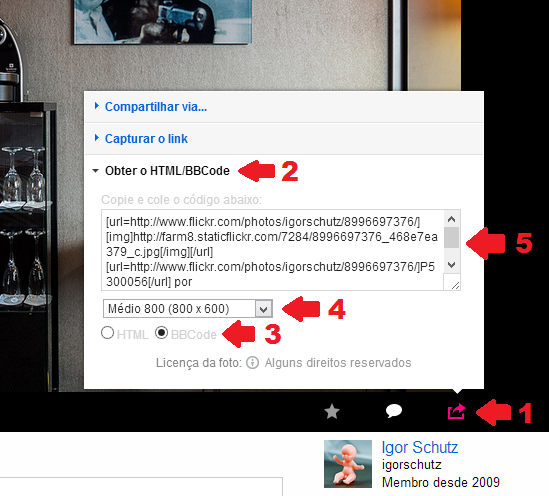Imagem Postada