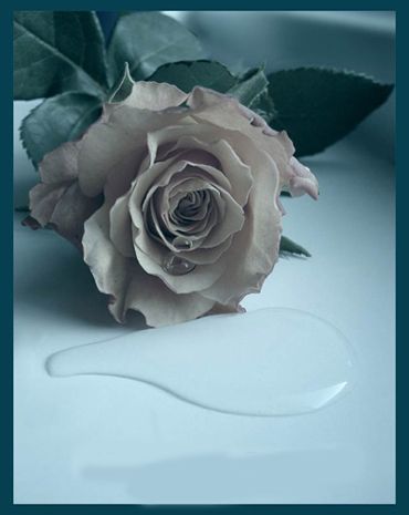 facebook icon vector facebook icon vector download. facebook icon vector