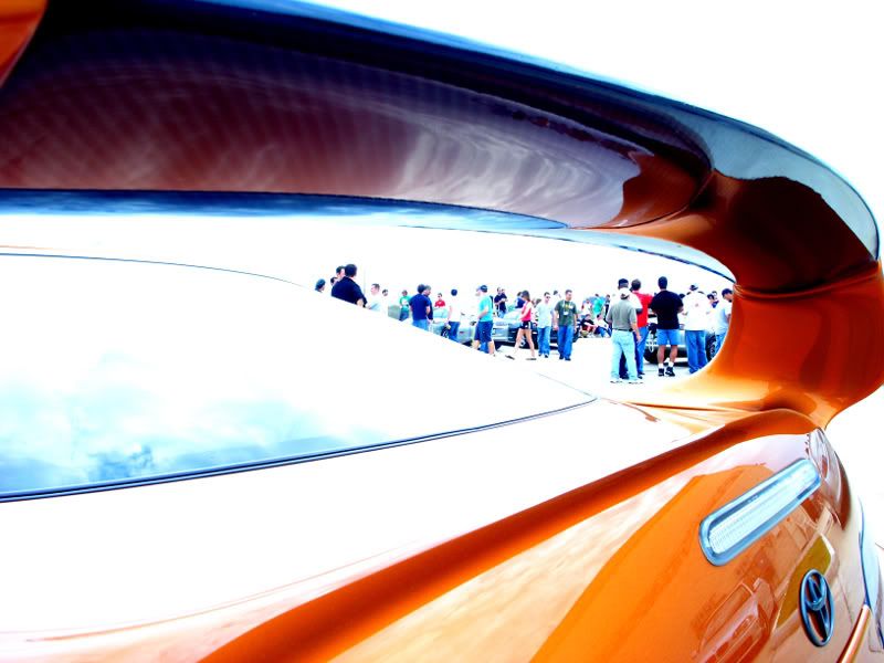 [Image: P3173011.jpg]