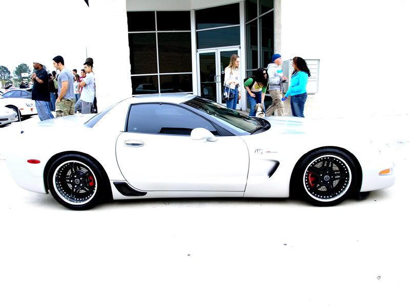 [Image: P3183203.jpg]