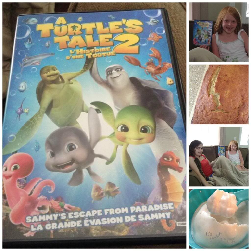 A Turtle's Tale 2 DVD, 