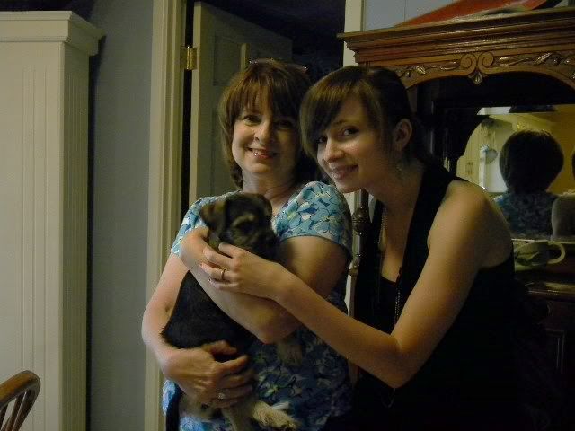 puppy006.jpg puppy picture by bunkodeb