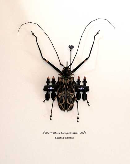 Banksy Beetle