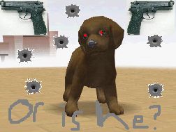 dog1.bmp