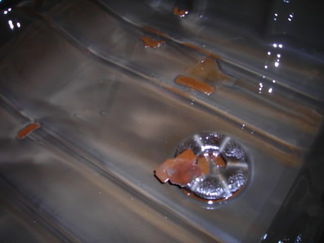 DSCN3961.jpg