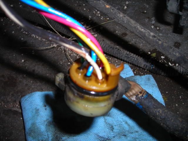 DSCN3969.jpg