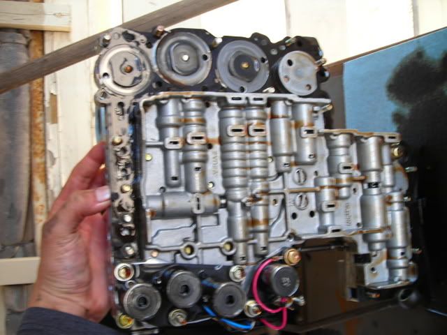 DSCN3974.jpg