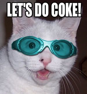 Coke_cat.jpg