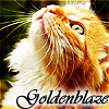 Goldenblaze Avatar