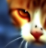 Murderpaw Avatar