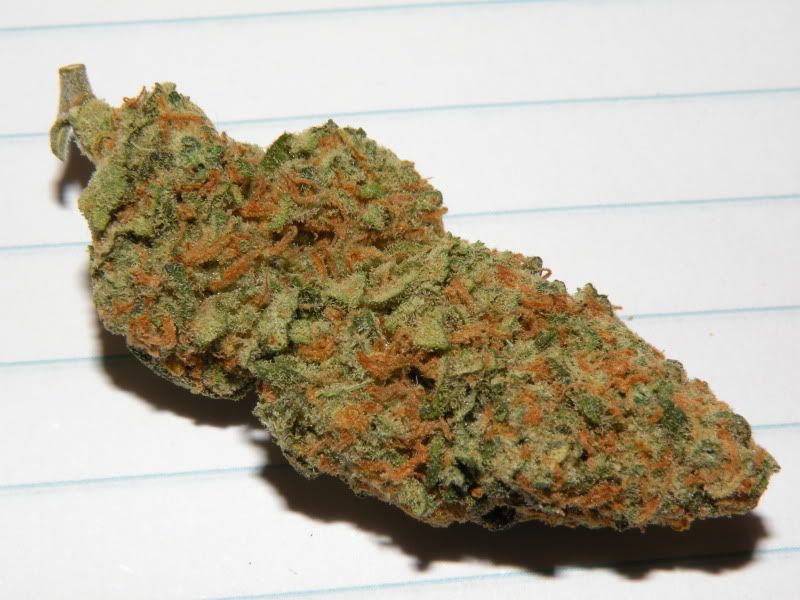 What Is Dank
