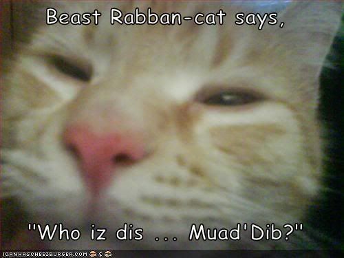 CheezburgerBeastRabbancat.jpg