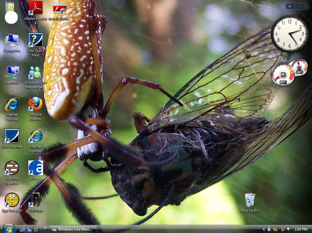 spiderdesktop.jpg