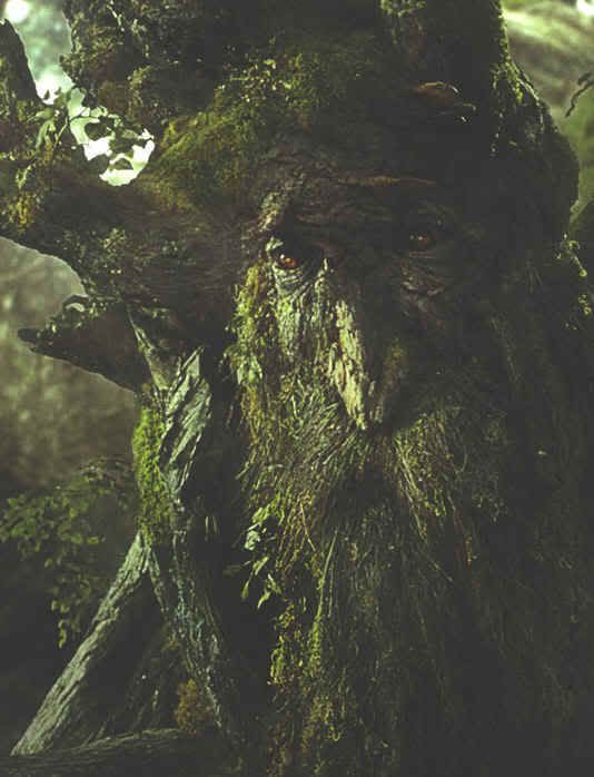 treebeard-large.jpg