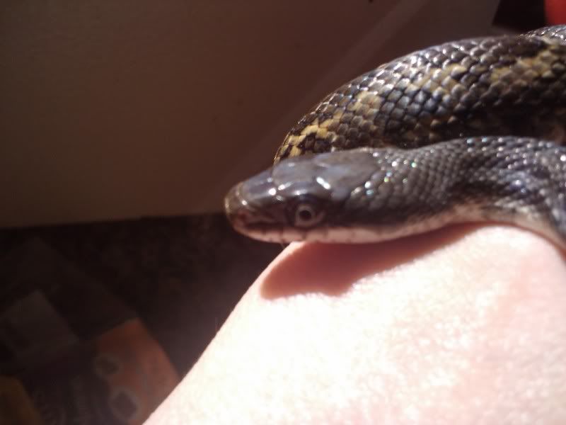 2010-10-11131443.jpg